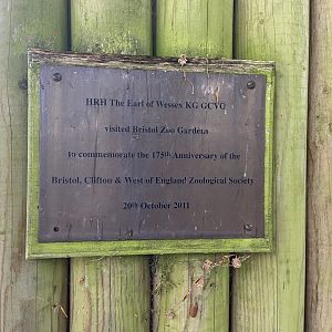May 16th 2022 - historical plaque located near sloth exhibit at Bristol Zoo