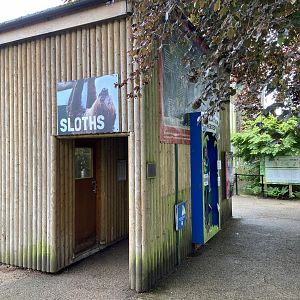 May 16th 2022 - Sloth House at Bristol Zoo