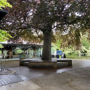 May 16th 2022 - entrance plaza at Bristol Zoo, viewed from within collection
