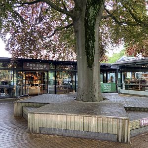 May 16th 2022 - entrance plaza at Bristol Zoo, looking towards listed entrance building and zoo shop