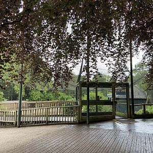 May 16th 2022 - Greater Flamingo aviary at Bristol Zoo