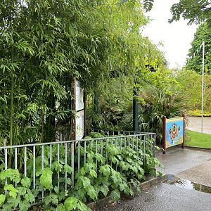 May 16th 2022 - vegetation in front of Asiatic Lion exhibit at Bristol Zoo