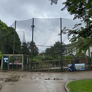 May 16th 2022 - walkthrough aviary for Greater Flamingo at Bristol Zoo
