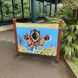May 16th 2022 - photographic opportunity board in front of Asiatic Lion exhibit at Bristol Zoo