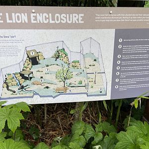 May 16th 2022 - informational display showing plan of Asiatic Lion exhibit at Bristol Zoo