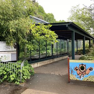 May 16th 2022 - viewing area for Asiatic Lion exhibit at Bristol Zoo
