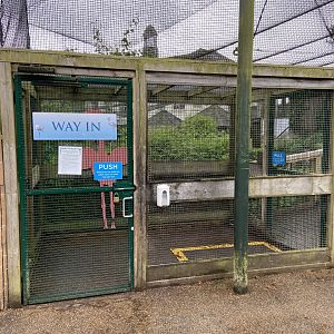 May 16th 2022 - entrance into walkthrough aviary for Greater Flamingo at Bristol Zoo