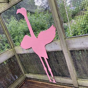 May 16th 2022 - decorative imagery within Greater Flamingo  walkthrough aviary at Bristol Zoo