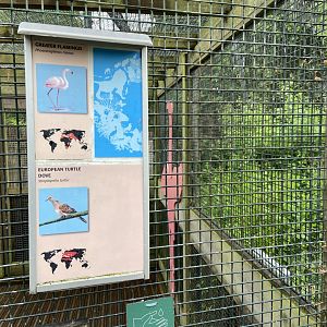May 16th 2022 - informational signage within Greater Flamingo walkthrough aviary at Bristol Zoo