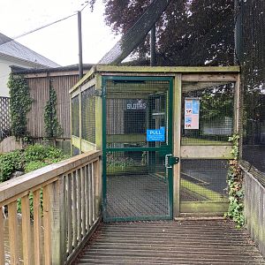 May 16th 2022 - visitor exit within Greater Flamingo walkthrough aviary at Bristol Zoo