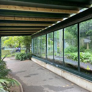 Bristol Zoo lion enclosure