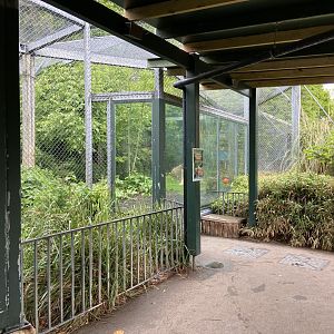 Bristol Zoo lion enclosure