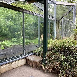 Bristol Zoo lion enclosure