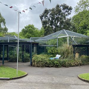 Bristol Zoo lion enclosure