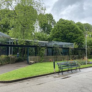 Bristol Zoo lion enclosure