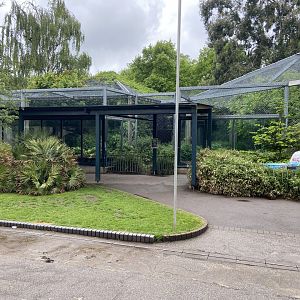 Bristol Zoo lion enclosure