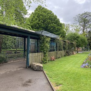 Bristol Zoo lion enclosure