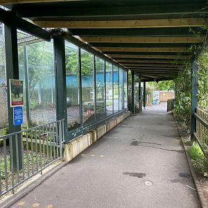 Bristol Zoo lion enclosure