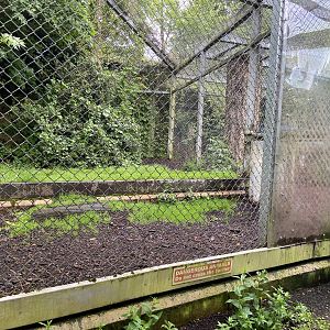 Bristol Zoo lion enclosure