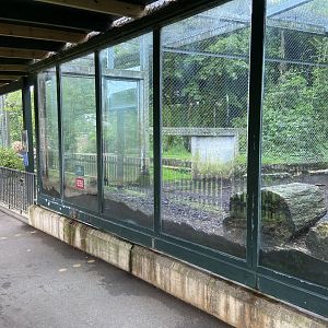 Bristol Zoo lion enclosure