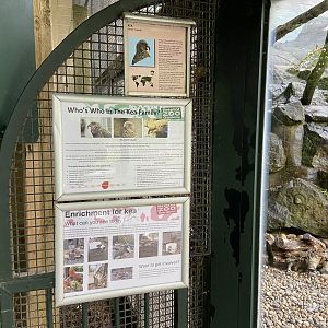 Bristol Zoo kea aviary