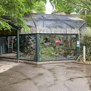 Bristol Zoo kea aviary