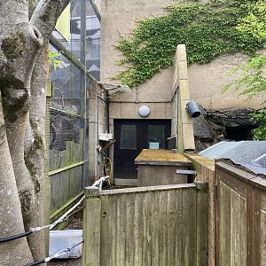 Bristol Zoo space between kea and red panda