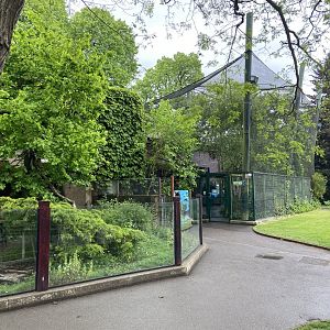 Bristol Zoo red panda and fruit bats