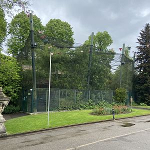 Bristol Zoo fruit bats