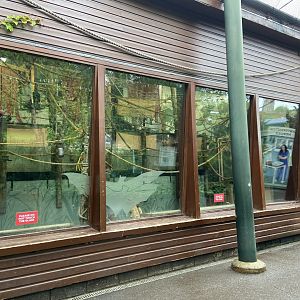 Bristol Zoo fruit bats
