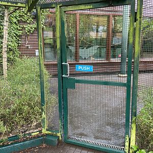 Bristol Zoo fruit bats