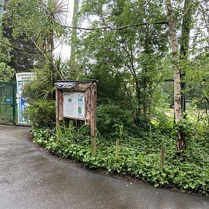 Bristol Zoo fruit bats