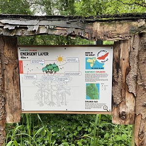 Bristol Zoo fruit bats