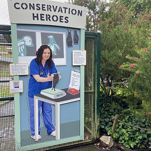 Bristol Zoo fruit bats