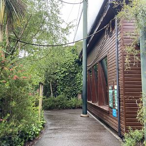 Bristol Zoo fruit bats