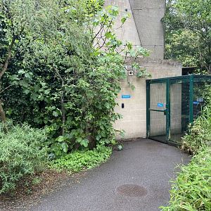 Bristol Zoo fruit bats