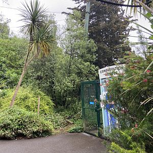 Bristol Zoo fruit bats