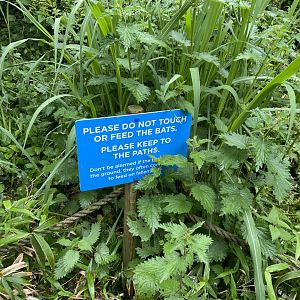 Bristol Zoo fruit bats