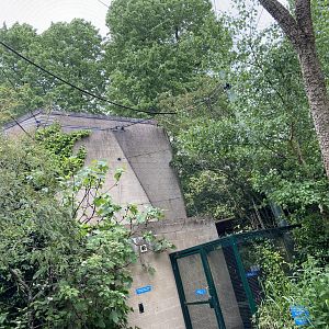 Bristol Zoo fruit bats