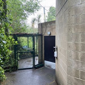 Bristol Zoo fruit bats
