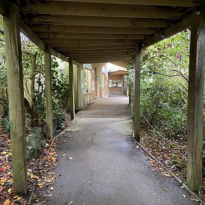 Bristol Zoo amphibians