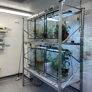 Bristol Zoo amphibians