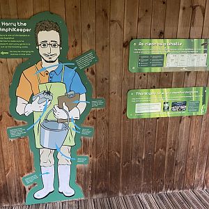 Bristol Zoo amphibians