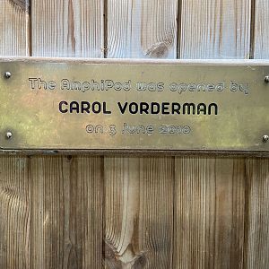 Bristol Zoo amphibians