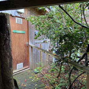 Bristol Zoo amphibians