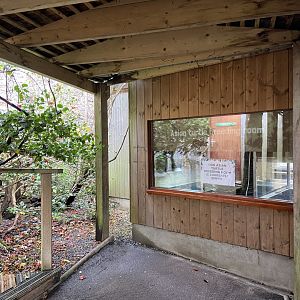 Bristol Zoo Asian turtle breeding room