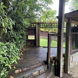 Bristol Zoo tortoise enclosure