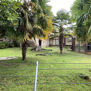 Bristol Zoo tortoise enclosure