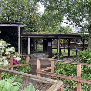 Bristol Zoo tortoise enclosure