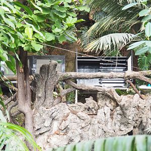 Off-show butterfly equipment on the Winter Garden's balcony, 2022-03-16